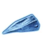 T38 Hensley Ripper tigro dantys